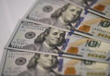 2022年,强美元会来吗