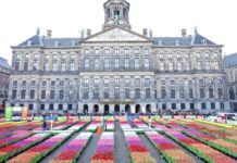 荷兰郁金香日免费送花数千束