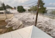 全球连线 | 海啸浪潮抵达美国西海岸 环太平洋多国受汤加火山喷发影响