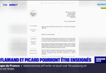 【新增1万8】比利时弗拉芒语被列入法国国家教育官方公报