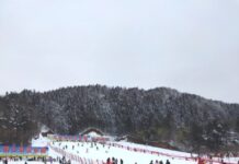 冰雪经济红利开始在中国显现