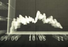 【疫情另辟商机】封城期间,不少比利时年轻人炒股