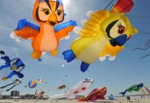 【周末推荐】畅游世界风筝天堂 法国加来地区的Berck