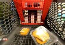 【民生】9月份 比利时家庭每月生活成本要净增600欧元!