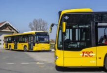 【好消息】从9月1日起,18至24岁的年轻人TEC月票只需1欧元