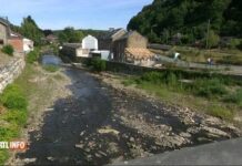 【旱灾】比利时137年来最干燥的七月