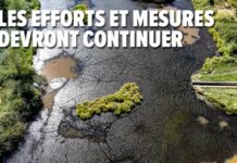 【一直旱到年底】比利时政府呼吁民众要节约用水