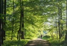 【周末深度】比利时的生物多样性严重恶化 欧洲排“倒数”