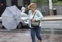 【降温降雨】比利时的秋天来啦