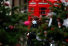 担心涨价 英国消费者提前囤圣诞树