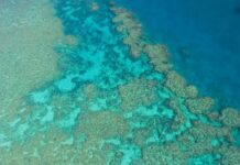 大堡礁列为濒危世界遗产?联合国专家与澳政府有分歧