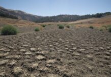 世界气象组织发布首份《全球水资源状况报告》