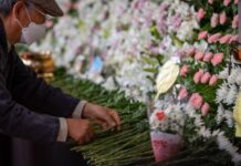 韩国警方承认未能及时处理踩踏事件苗头