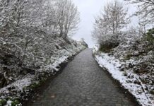 【天气预报】降温 比利时本周雨雪交加