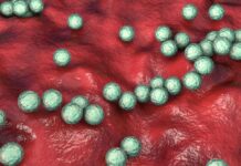 【注意】比利时等国家 “链球菌”儿童感染病例呈上升趋势