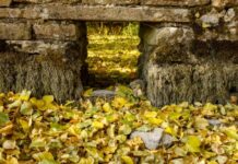 2022年将成为英国有记录以来最热一年