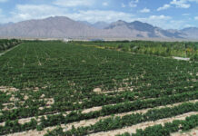 科普:世界土壤日话土壤