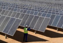 中阿绿色转型合作方兴未艾