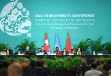 “2020年后全球生物多样性框架”磋商取得积极进展