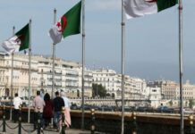 意大利总理访阿尔及利亚拟强化能源合作