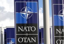 土耳其或同意芬兰“单飞”加入北约