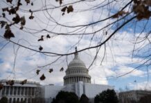 拜登收紧边境管控 有限接收四国合法移民