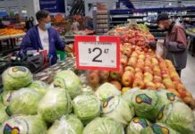 粮农组织:2022年全球食品价格创新高