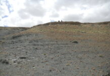 2亿多年前的花粉粒揭示陆地生物大灭绝“元凶”