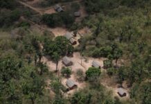 巴西新总统签署保护亚马孙地区等环保法令