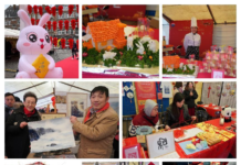 【玉兔献瑞,温暖迎春】比利时“中国春节游园庙会”活动成功举办