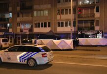 【社会】警方确认安特卫普发现的一具女尸系华人