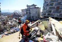 欧洲疾控中心:土叙震区将面临传染病挑战