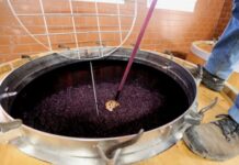 法国将把葡萄酒制成工业酒精以消化库存