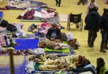 世卫:土叙地震造成2600万灾民需人道援助