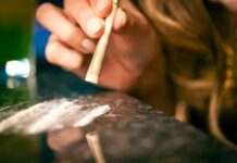 全球可卡因供应量再创新高:“比利时是主要进口中心之一”