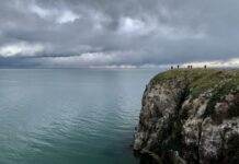 中国高效践行“智慧治水”