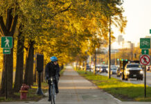 气候变暖 树叶晚落一个月