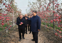 特稿丨习近平:众望所归引领中国新征程