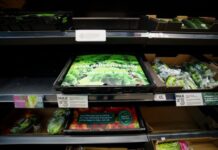 蔬菜供应吃紧 英国人准备“自力更生”