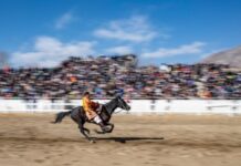 新研究:人类骑马最早证据可追溯到约5000年前