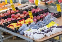 报告:欧盟四分之一儿童面临贫困风险