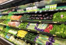 常吃绿叶菜或助预防阿尔茨海默病