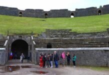 羊群助力庞贝古城遗址保护