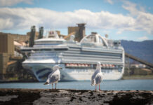 美邮轮超300人呕吐腹泻 疑似诺如病毒所致