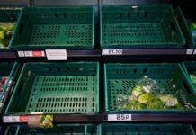 英国闹“沙拉危机” 西班牙农业大臣有话说