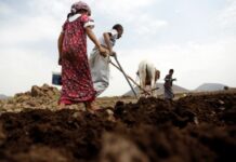 观天下·也门局势 | 也门和平现曙光?沙特与胡塞武装就停火对话