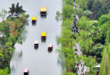 中国加速提振消费 市场逐步回暖吸引世界