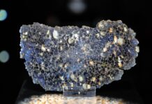 陨石坠入森林 美国一博物馆重金悬赏找寻