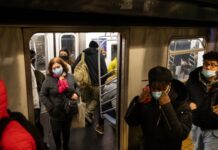 不堪鼠患 纽约任命“灭鼠官”