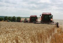 观天下·乌克兰农产品 | 围绕乌克兰农产品 欧盟内部分歧渐显